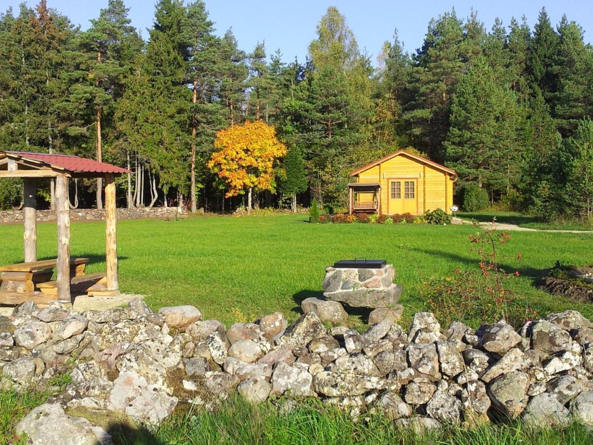 Hiievalja Maenniste Holiday Home חדר תמונה